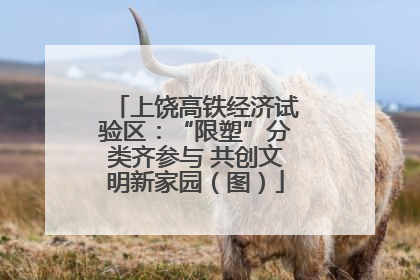 上饶高铁经济试验区：“限塑”分类齐参与 共创文明新家园（图）