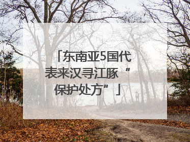 东南亚5国代表来汉寻江豚“保护处方”