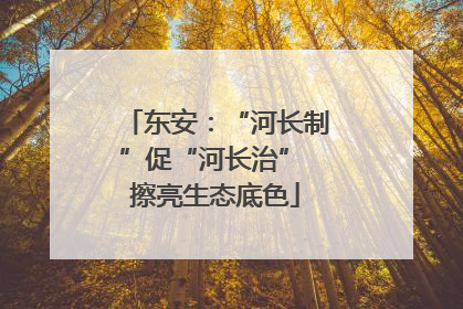 东安：“河长制”促“河长治” 擦亮生态底色