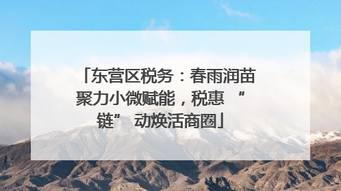 东营区税务：春雨润苗聚力小微赋能，税惠 “链” 动焕活商圈