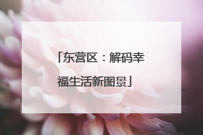 东营区：解码幸福生活新图景