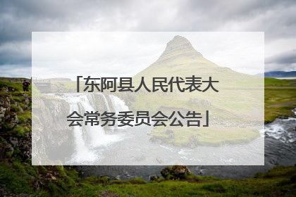 东阿县人民代表大会常务委员会公告