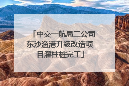 中交一航局二公司东沙渔港升级改造项目灌柱桩完工