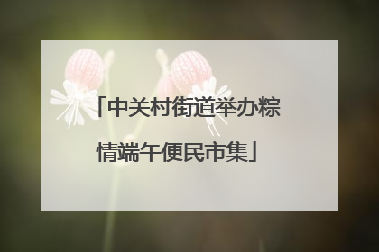 中关村街道举办粽情端午便民市集