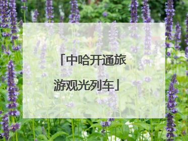 中哈开通旅游观光列车