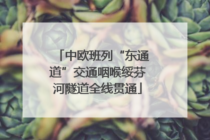 中欧班列“东通道”交通咽喉绥芬河隧道全线贯通