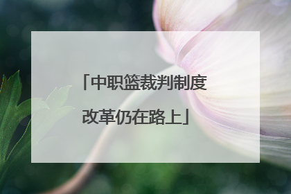 中职篮裁判制度改革仍在路上