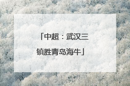 中超：武汉三镇胜青岛海牛