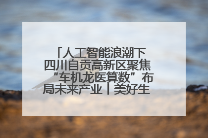 人工智能浪潮下 四川自贡高新区聚焦“车机龙医算数”布局未来产业丨美好生活有“盐”味