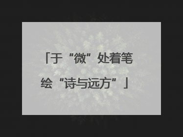 于“微”处着笔 绘“诗与远方”
