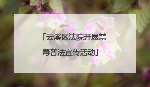 云溪区法院开展禁毒普法宣传活动