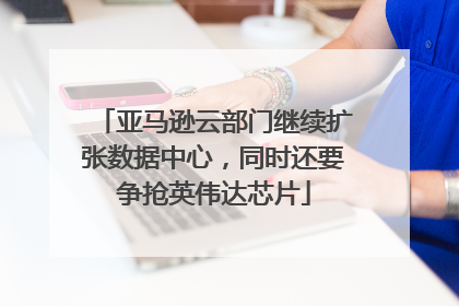 亚马逊云部门继续扩张数据中心，同时还要争抢英伟达芯片