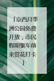 京西月季洲公园免费开放，市民假期驱车前来赏花打卡