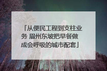 从便民工程到支柱业务 眉州东坡把早餐做成会呼吸的城市配套
