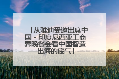从雅迪受邀出席中国－印度尼西亚工商界晚餐会看中国智造出海的底气