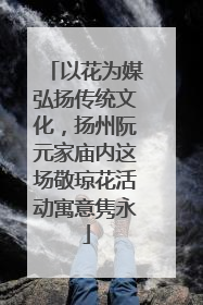 以花为媒弘扬传统文化，扬州阮元家庙内这场敬琼花活动寓意隽永