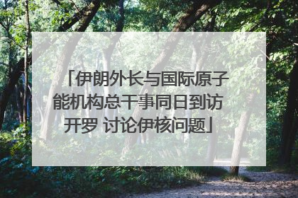 伊朗外长与国际原子能机构总干事同日到访开罗 讨论伊核问题