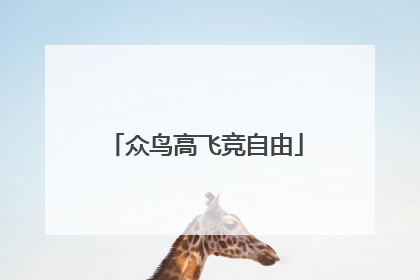 众鸟高飞竞自由
