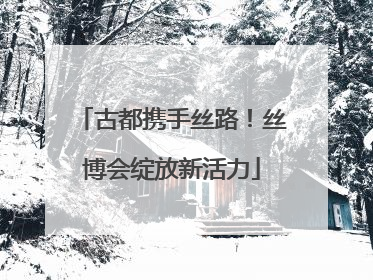 古都携手丝路！丝博会绽放新活力
