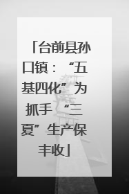 台前县孙口镇：“五基四化”为抓手 “三夏”生产保丰收