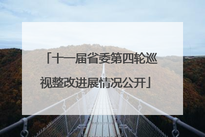十一届省委第四轮巡视整改进展情况公开