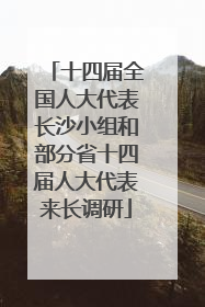 十四届全国人大代表长沙小组和部分省十四届人大代表来长调研