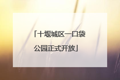 十堰城区一口袋公园正式开放
