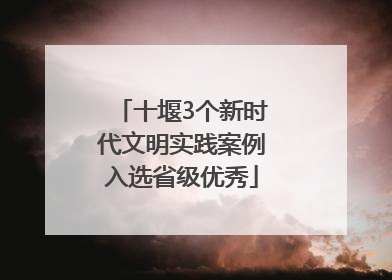 十堰3个新时代文明实践案例入选省级优秀