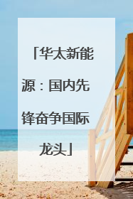 华太新能源：国内先锋奋争国际龙头
