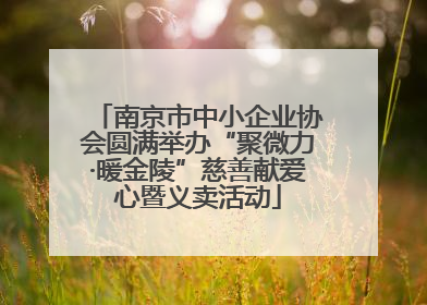 南京市中小企业协会圆满举办“聚微力·暖金陵”慈善献爱心暨义卖活动