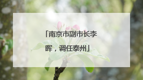 南京市副市长李晖，调任泰州