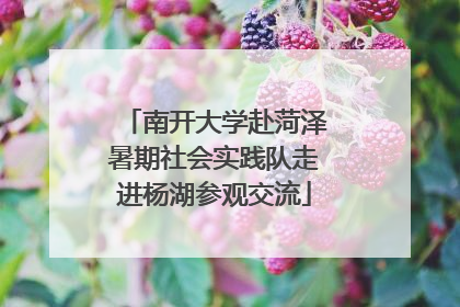 南开大学赴菏泽暑期社会实践队走进杨湖参观交流