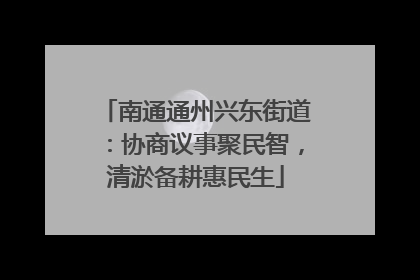 南通通州兴东街道：协商议事聚民智，清淤备耕惠民生