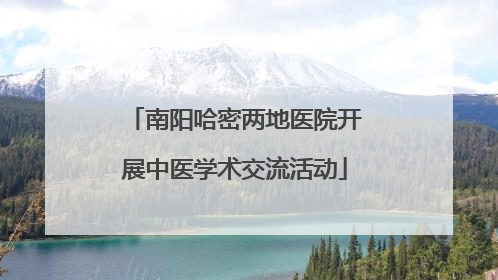 南阳哈密两地医院开展中医学术交流活动