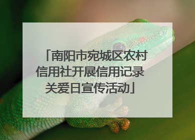 南阳市宛城区农村信用社开展信用记录关爱日宣传活动