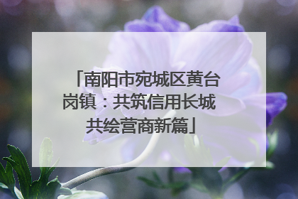 南阳市宛城区黄台岗镇：共筑信用长城 共绘营商新篇