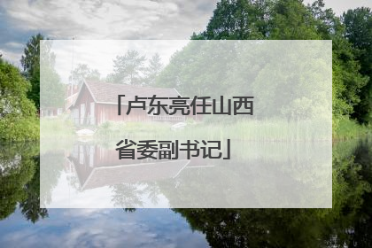 卢东亮任山西省委副书记