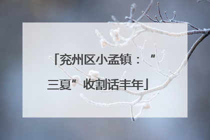 兖州区小孟镇：“三夏”收割话丰年