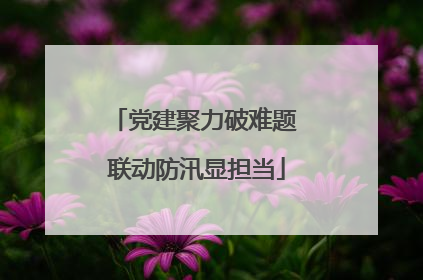党建聚力破难题 联动防汛显担当