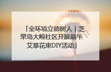 全环境立德树人｜芝罘岛大疃社区开展端午艾草花束DIY活动