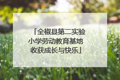 全椒县第二实验小学劳动教育基地收获成长与快乐