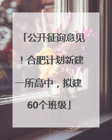 公开征询意见！合肥计划新建一所高中，拟建60个班级