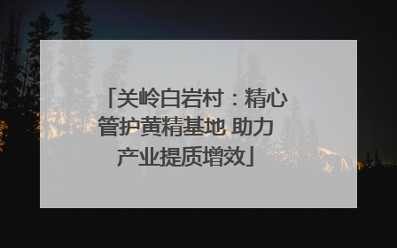 关岭白岩村：精心管护黄精基地 助力产业提质增效