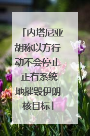 内塔尼亚胡称以方行动不会停止 正有系统地摧毁伊朗核目标