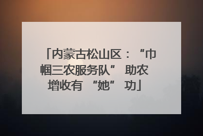 内蒙古松山区：“巾帼三农服务队” 助农增收有 “她” 功
