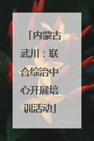 内蒙古武川：联合综治中心开展培训活动