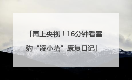 再上央视！16分钟看雪豹“凌小蛰”康复日记