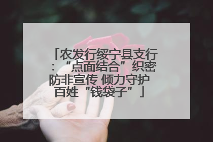农发行绥宁县支行：“点面结合”织密防非宣传 倾力守护百姓“钱袋子”
