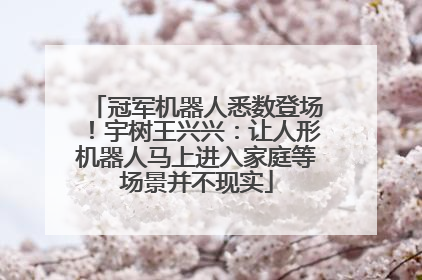 冠军机器人悉数登场！宇树王兴兴：让人形机器人马上进入家庭等场景并不现实