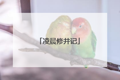 凌晨修井记